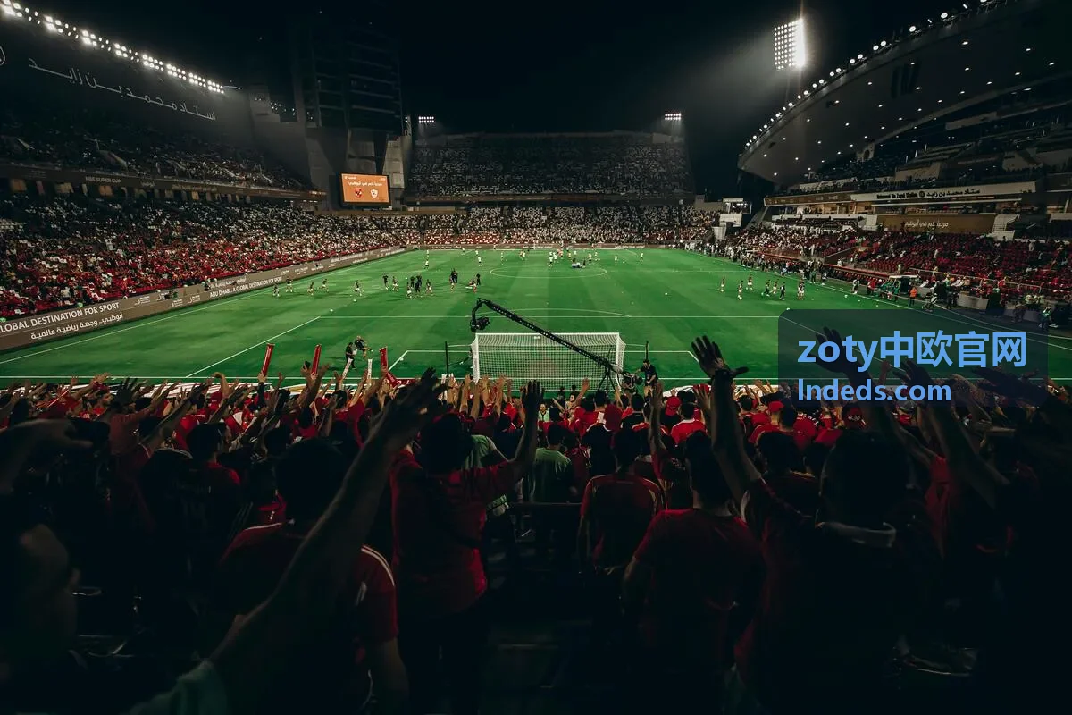 zoty中欧官网资金明细核对与提现状态查看示意